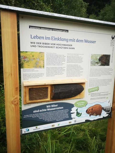 Bibererlebnispfad Steinerfurth
